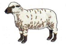 Logo Zakład Kuśniersko-Kożucharski